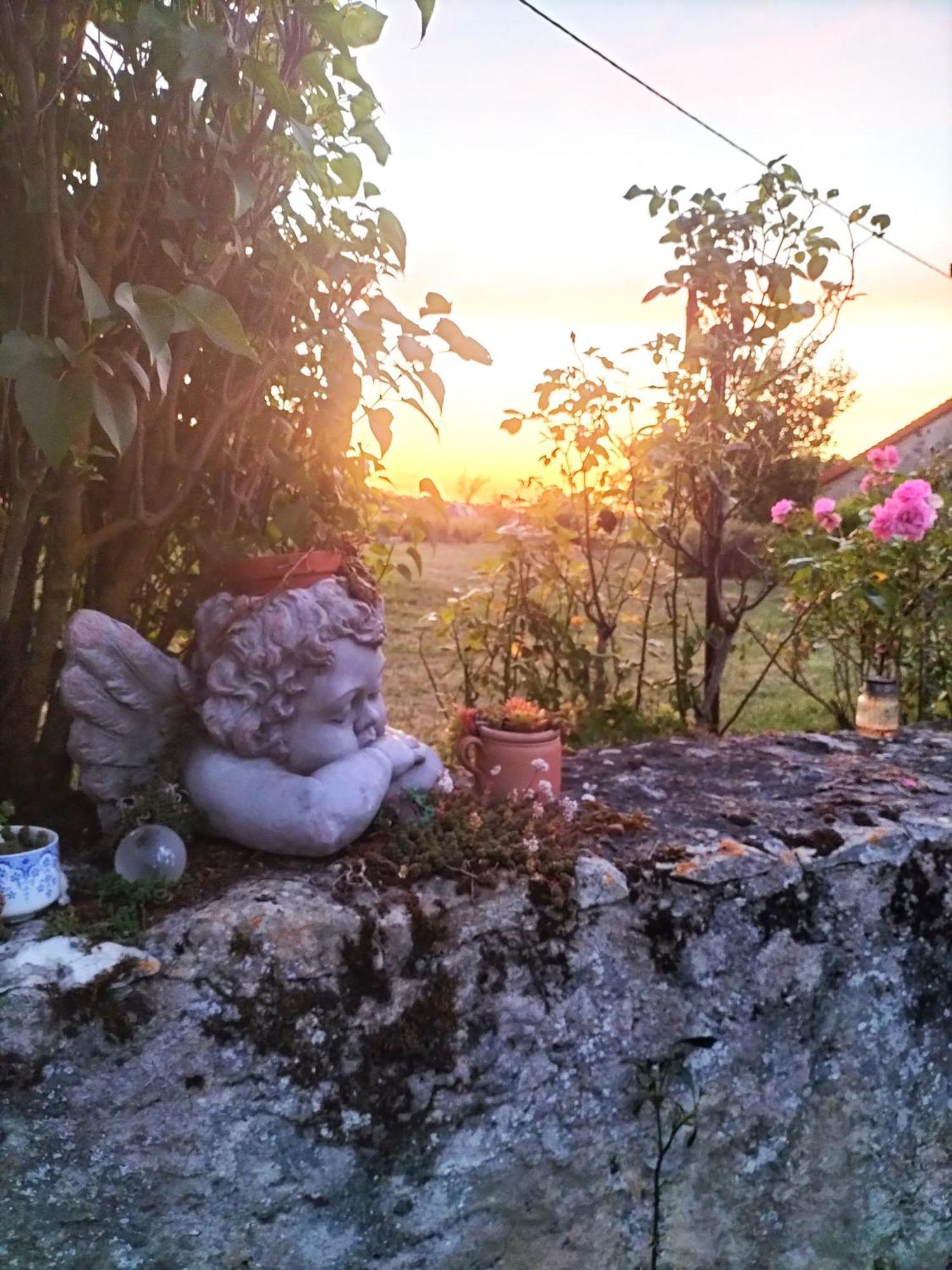 Charmante Maison, Calme Et Nature A La Roche Posay Extérieur photo