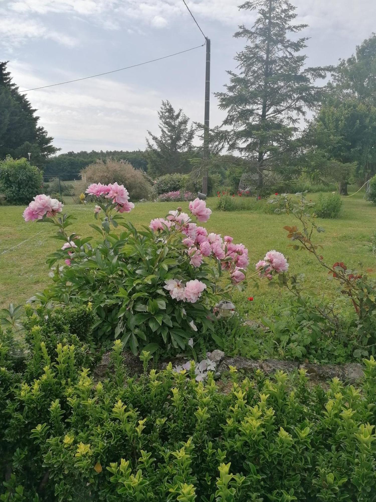 Charmante Maison, Calme Et Nature A La Roche Posay Extérieur photo