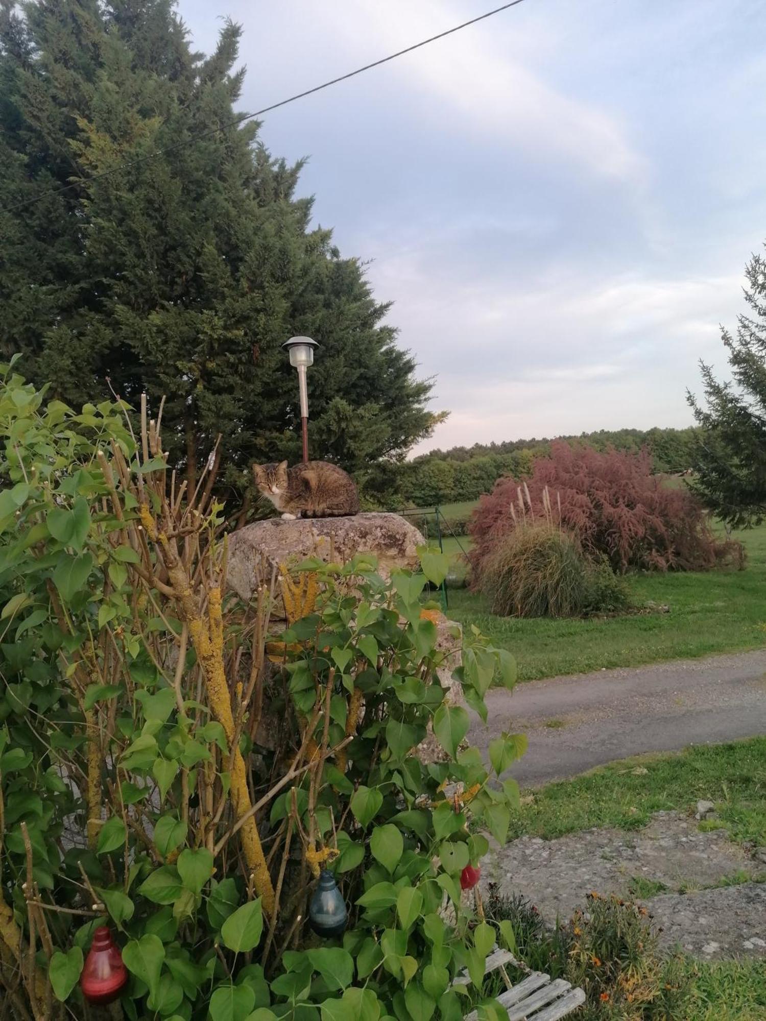 Charmante Maison, Calme Et Nature A La Roche Posay Extérieur photo